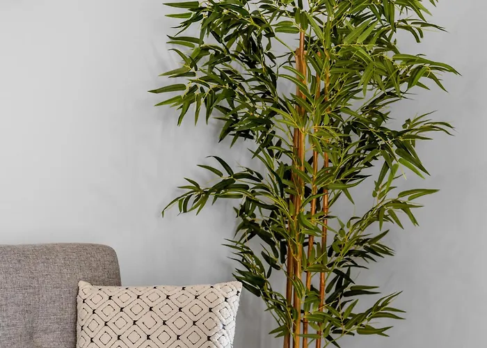 Atlantic View 公寓 *